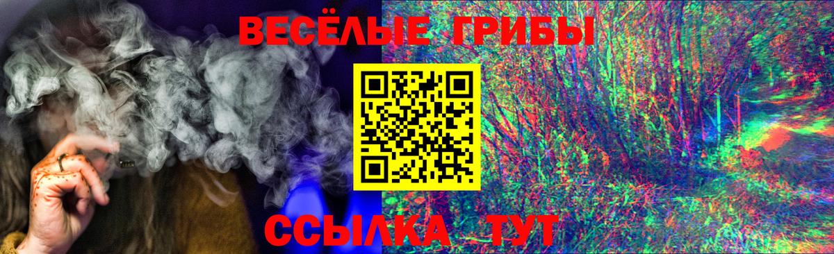 Галлюциногенные грибы Cubensis  Вход с VPN  Апшеронск 