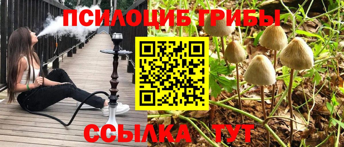 Псилоцибиновые грибы GOLDEN TEACHER Апшеронск